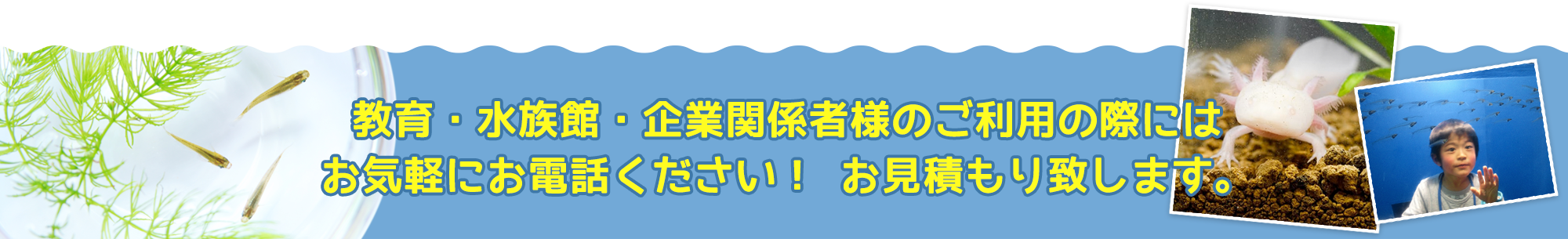 ���ꥬ����ꡦ����ꡦ�Ƽ磻�٥�Ȥˤ����Ѥ���������