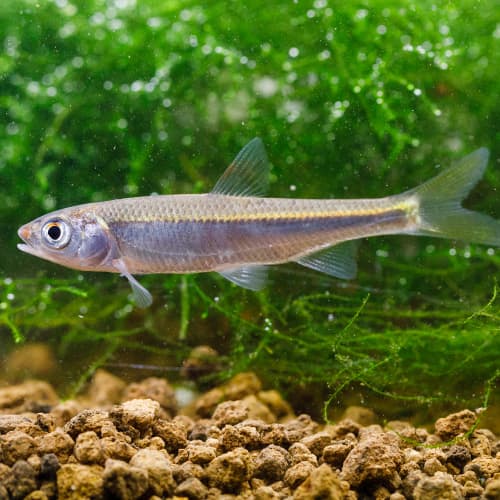 ��������ϥ���