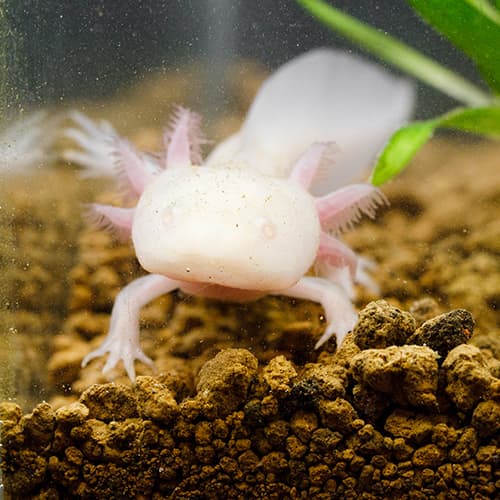 �������ξ����